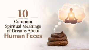 Dream About Human Feces