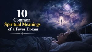 Fever Dream Meaning​