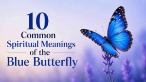 Blue Butterfly Meaning