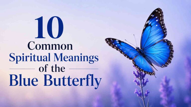 Blue Butterfly Meaning