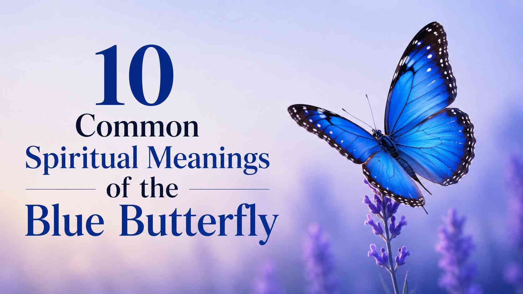 Blue Butterfly Meaning