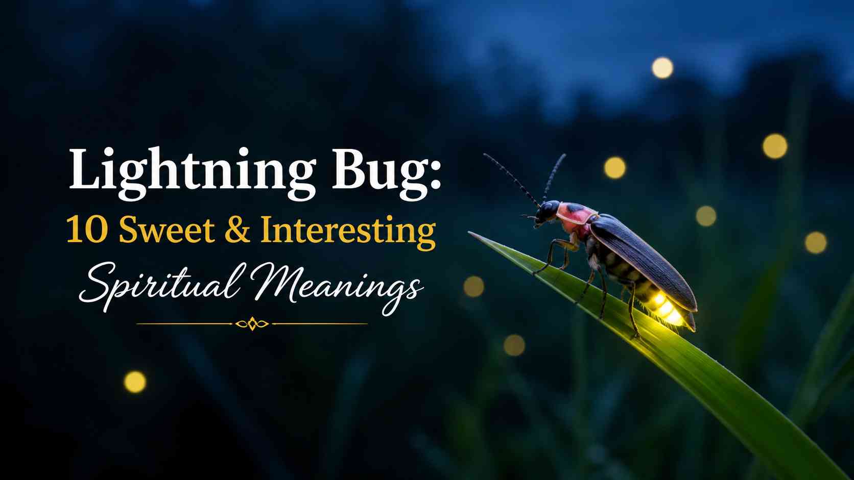Lightning Bug spiritual meaning